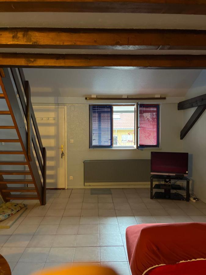 Dallas Garden Strasbourg Luaran gambar